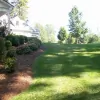 Holton's Lawn Care & Pine Straw