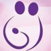 Obstetrics & Gynecology Li Fan MD