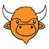 Tiny Buffalo Clothing