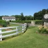 Gray Ghost Vineyards