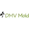 DMV Mold