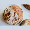 Fred's International Bakery