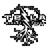 Tesla Custom Winery Tours