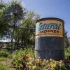 The Natural Gardener