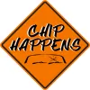 Chip Happens Glass