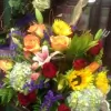 Conroys Flowers