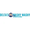 Washy Washy Windows