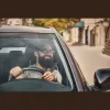 Taurus Insurance Agency