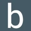 BSA Environmental Services