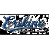 Erskine Investigative Services