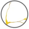 Lakeview Plastic Surgery