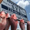 SYL Charters