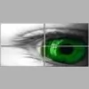 WatchPoint Security