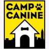 Camp Canine