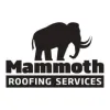 Mammoth Roofing Services