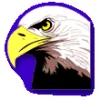 Federal Security Service