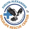 Evelyn Alexander Wildlife Rescue Center