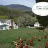 Goodwin Creek Farm & Bakery