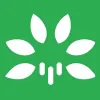 Walking Tree Technologies