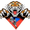 Japanese Martial Arts Academy