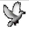 Miller Funeral Service