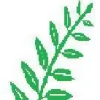 Fern Creek Funeral Home