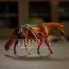 Trinity Equestrian Center