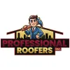 Professional Roofers