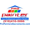 Pro Painters