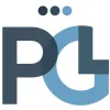 Peter G Lemire Sr CPA