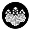 ADS Consulting Group