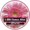 1-800 Flowers Allen