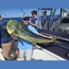 Matador Charters