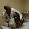 Towne Center Animal Hospital