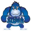 Gorilla Graffiti