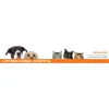 Uptown Animal Hospital