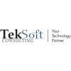 TekSoft Consulting