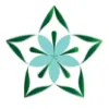 North Star Acupuncture