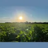 Irrigation Research Foundation