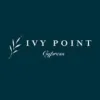 Ivy Point Cypress