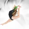 Rigert Elite Gymnastics