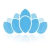 Dilworth Facial Plastic Surgery