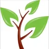 Tulip Tree Family Health Care
