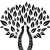 Journal Square Spine & Wellness Center