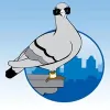 Urban Chirp