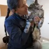 Safe Harbor Animal Hospital