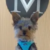 Vincent Michael Salon