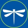 Dragonfly Marketing