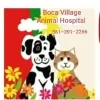 Boca Village Animal Hospital