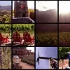 Fleury Estate Winery